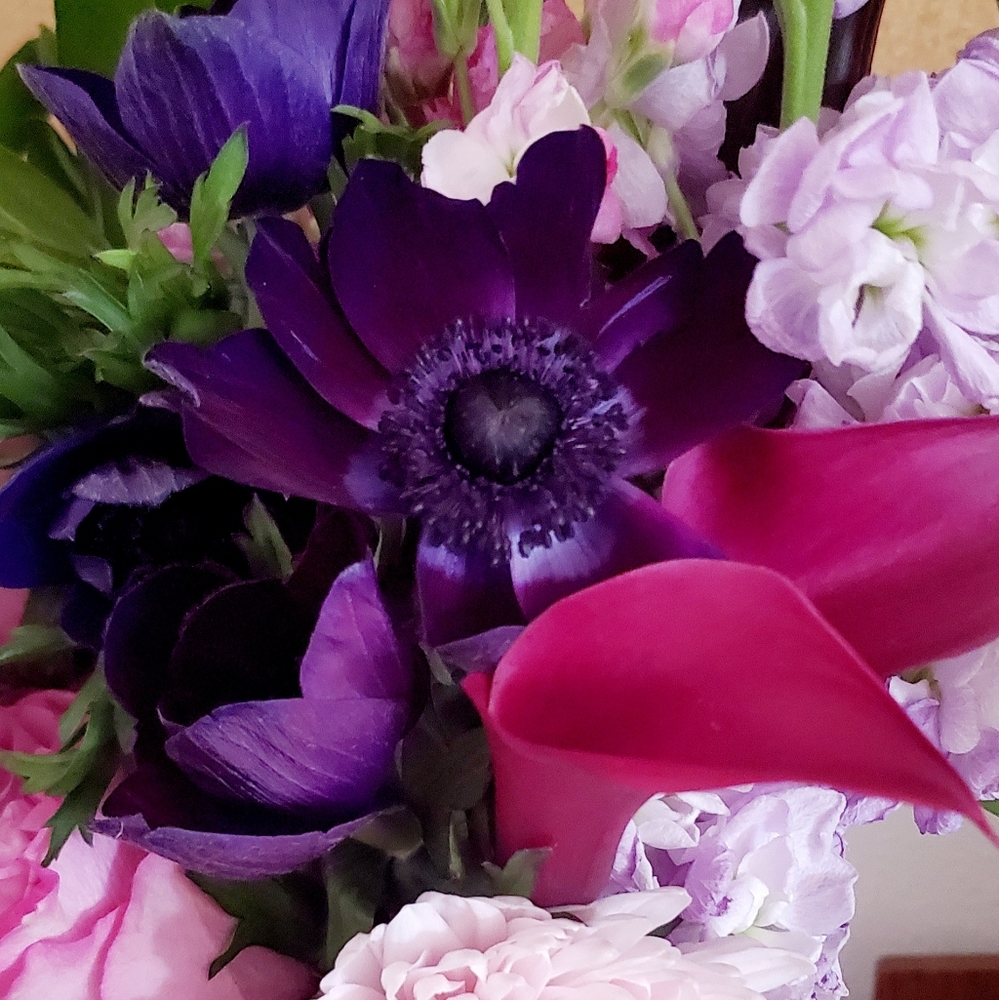 Meet your Posher, Stacey